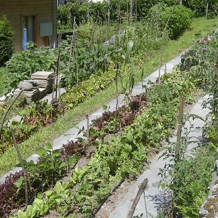 Eco-Hotel Cristallina Coglio Exterior photo